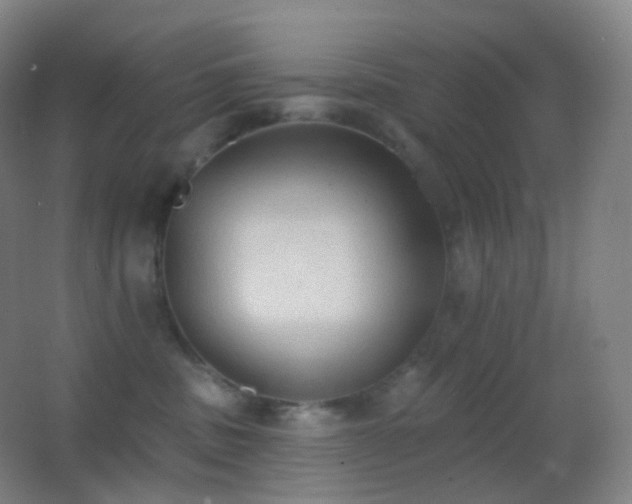 X0000062890379200601131341