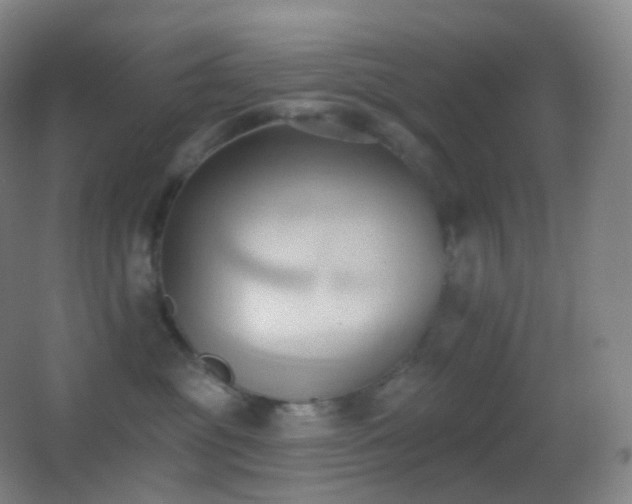 X0000062890381200601131341