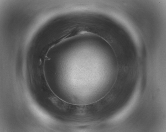 X0000062890382200601131341