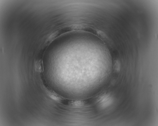 X0000062890383200601131341