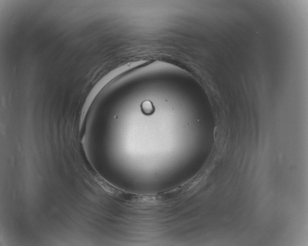 X0000062890384200601131341