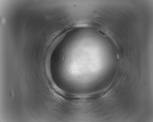 X0000062890385200601131340