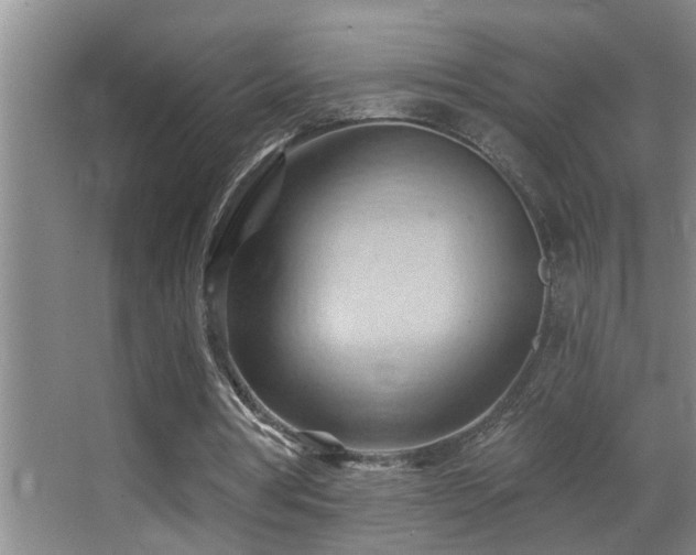 X0000062890386200601131340