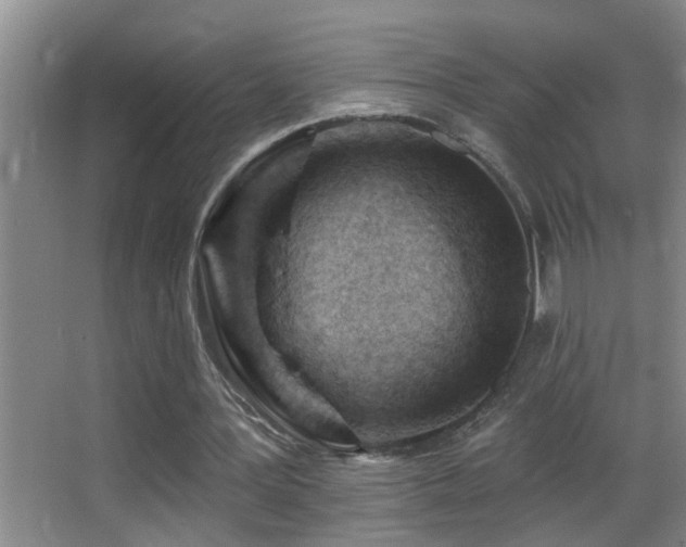 X0000062890387200601131340