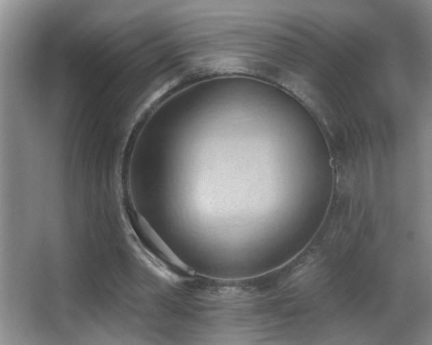 X0000062890390200601131340