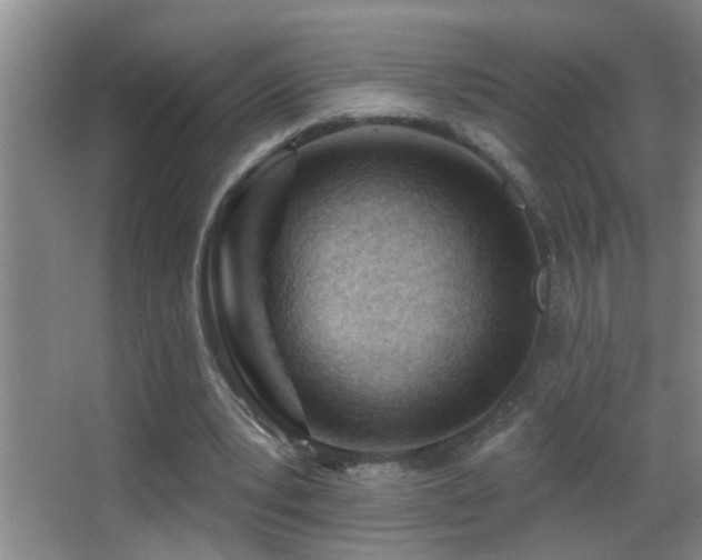 X0000062890391200601131340