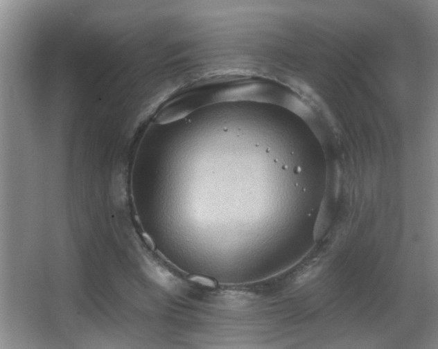 X0000062890393200601131340