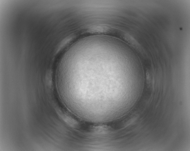 X0000062890396200601131340