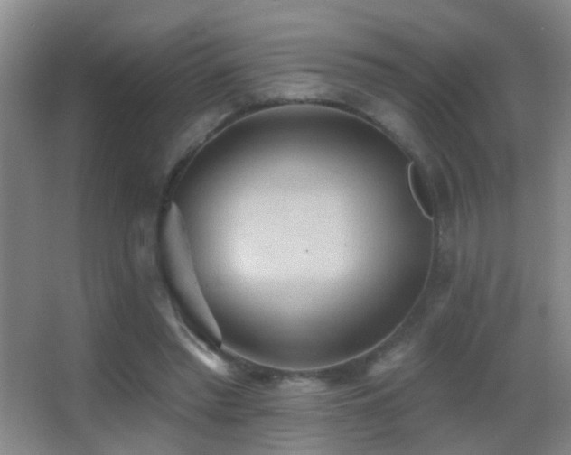 X0000062890397200601131340