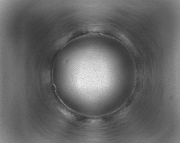 X0000062890401200601131340