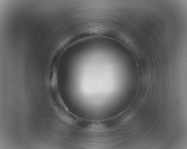 X0000062890403200601131340