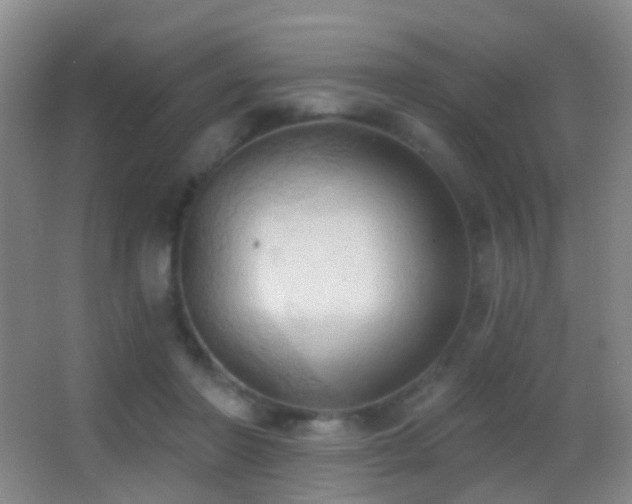 X0000062890406200601131340