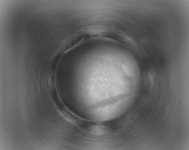 X0000062890408200601131339