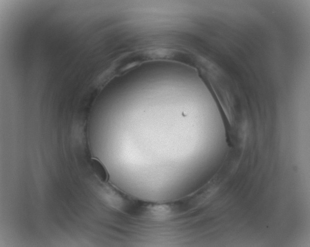 X0000062890409200601131339