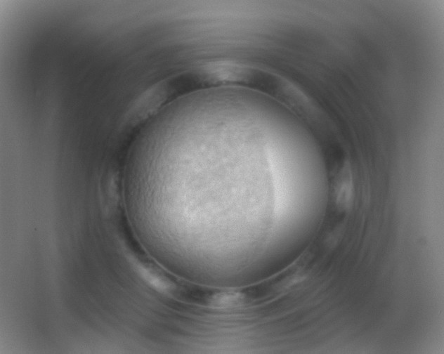 X0000062890410200601131339