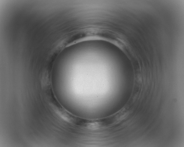 X0000062890411200601131339