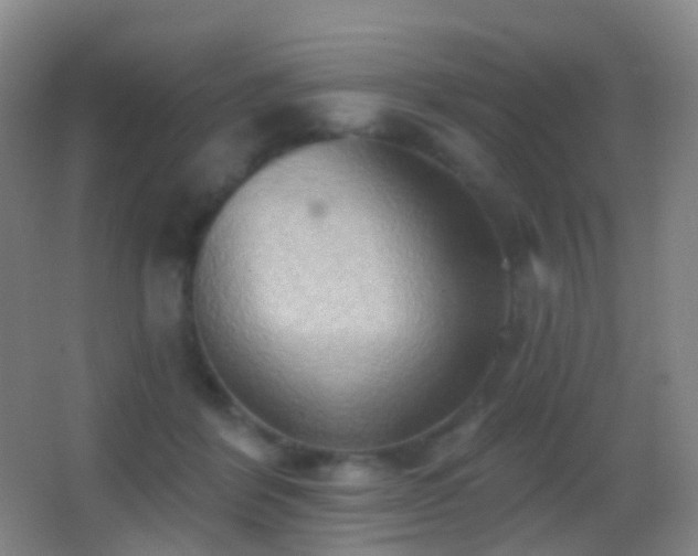 X0000062890412200601131339