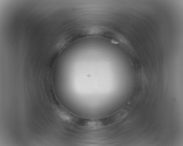 X0000062890415200601131339