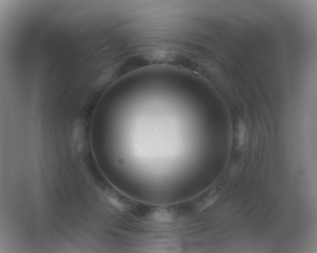 X0000062890416200601131339