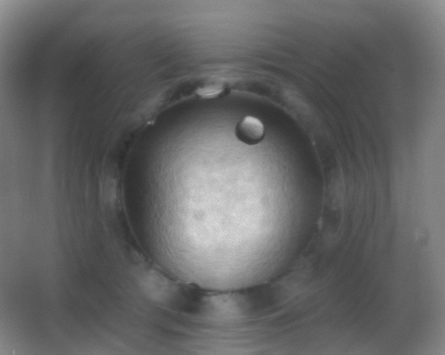 X0000062890417200601131339