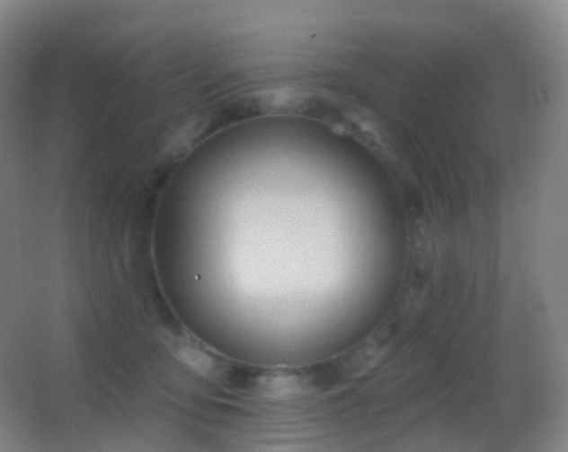 X0000062890419200601131339