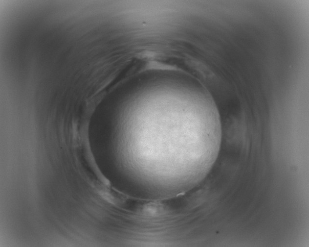 X0000062890420200601131339