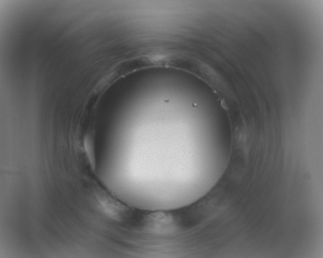 X0000062890421200601131339