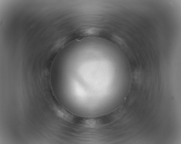 X0000062890423200601131339