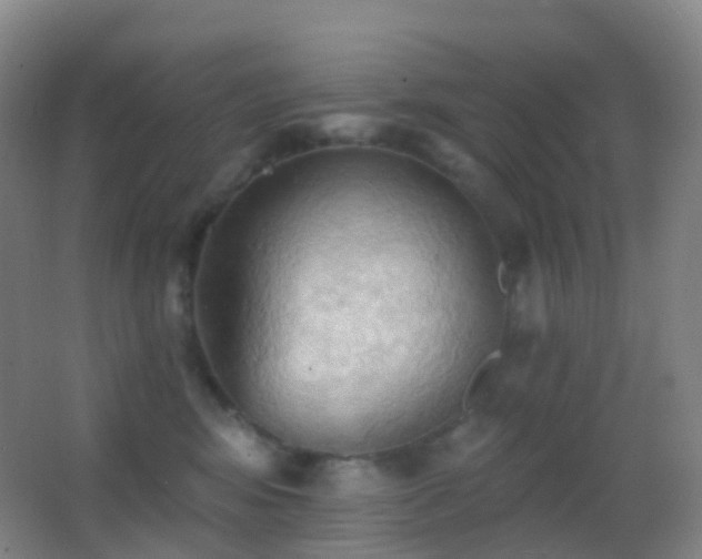 X0000062890424200601131339