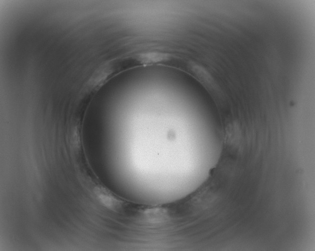 X0000062890426200601131339