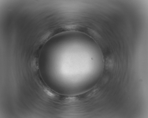 X0000062890428200601131339