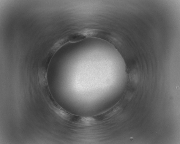 X0000062890429200601131339