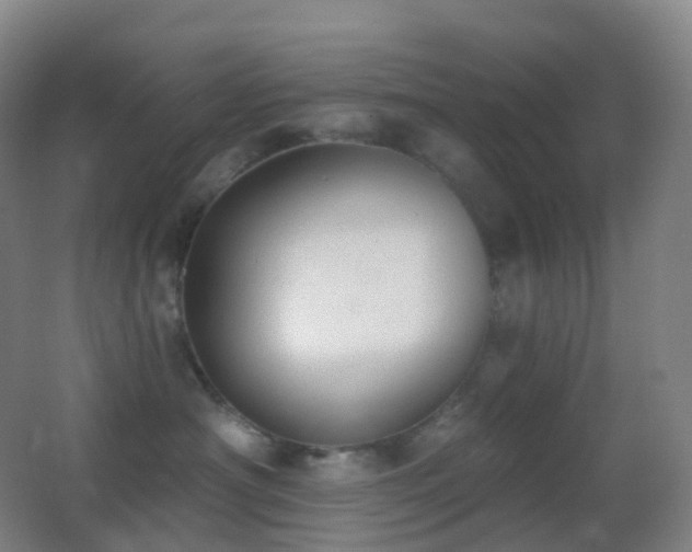 X0000062890430200601131339