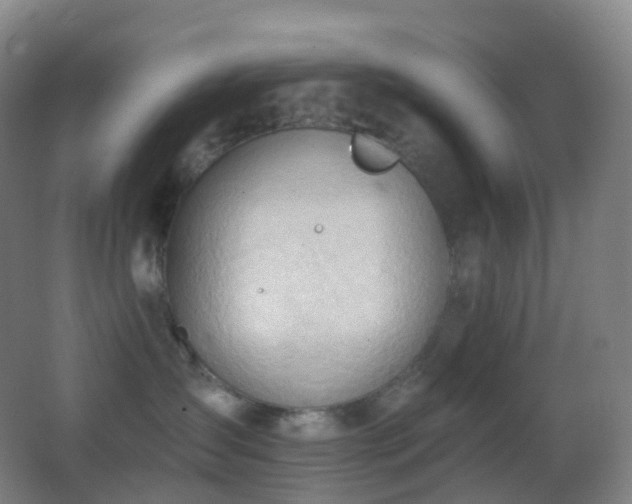 X0000062890431200601131339