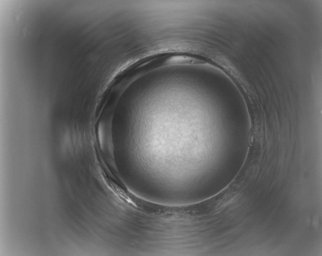 X0000062890434200601131338