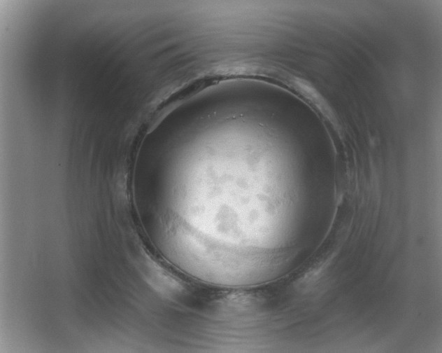 X0000062890441200601131338