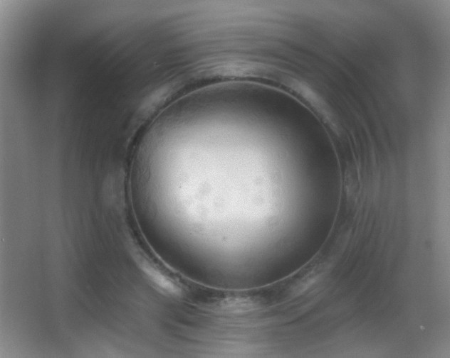 X0000062890445200601131338