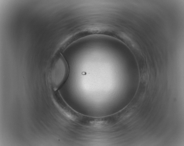 X0000062890448200601131339