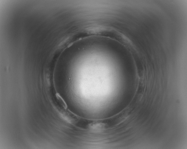 X0000062890452200601131339