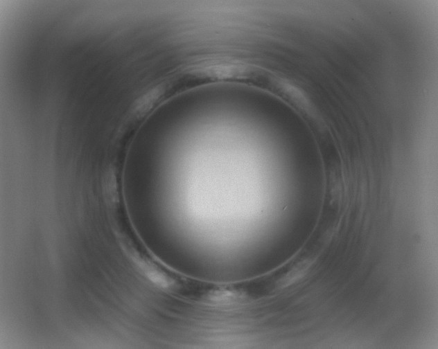 X0000062890453200601131339