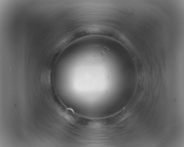 X0000062890454200601131339