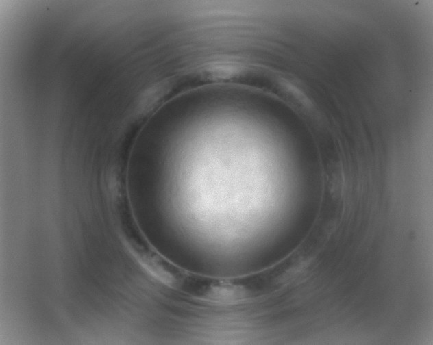 X0000062890455200601131339