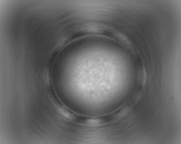 X0000062890457200601131339