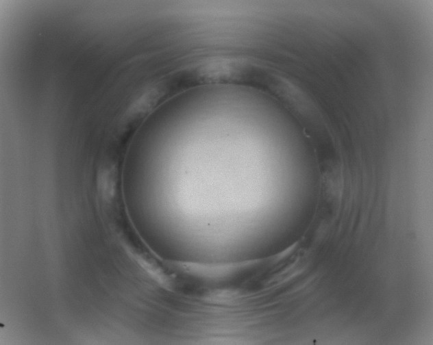 X0000062890458200601131339