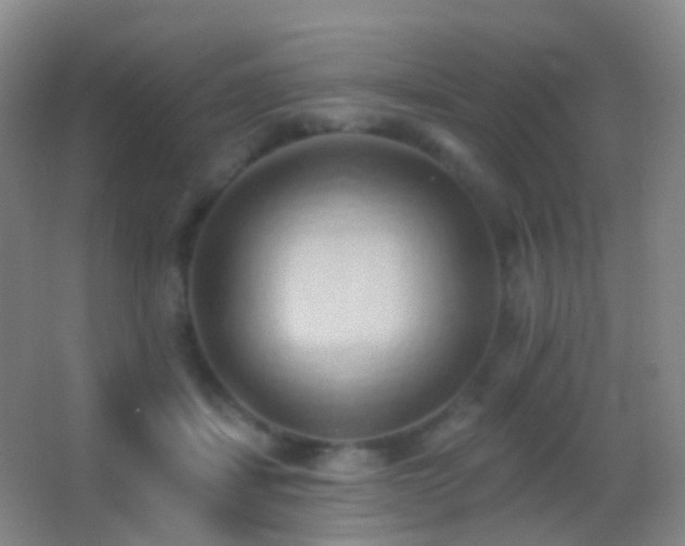 X0000062890459200601131339