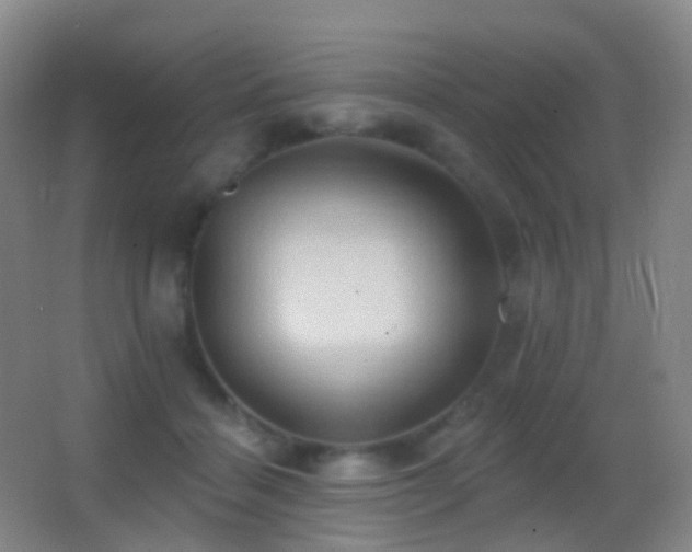 X0000062890460200601131339