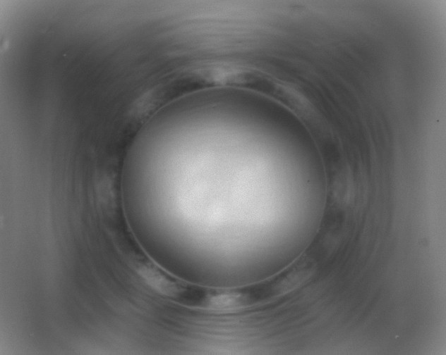 X0000062890461200601131339