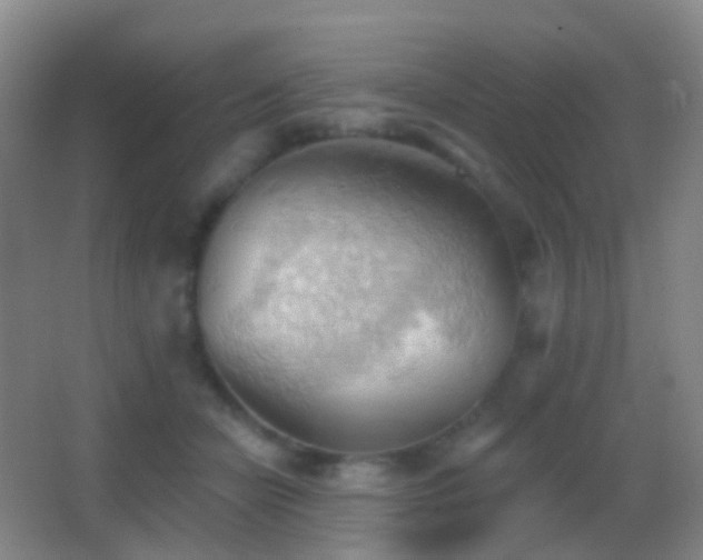 X0000062890462200601131339