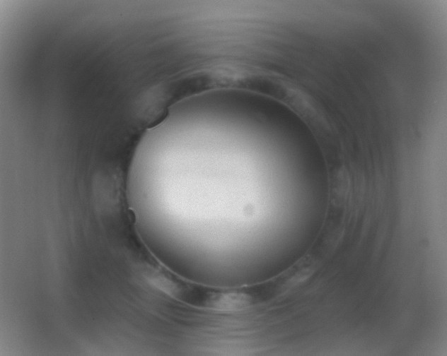 X0000062890463200601131339