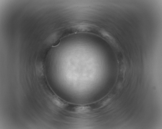 X0000062890465200601131339